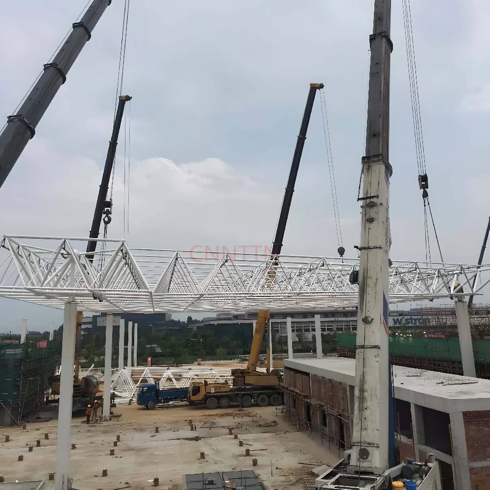 Roof module with lifting equipment. Image from the supplied site archive; project identity is not documented here.